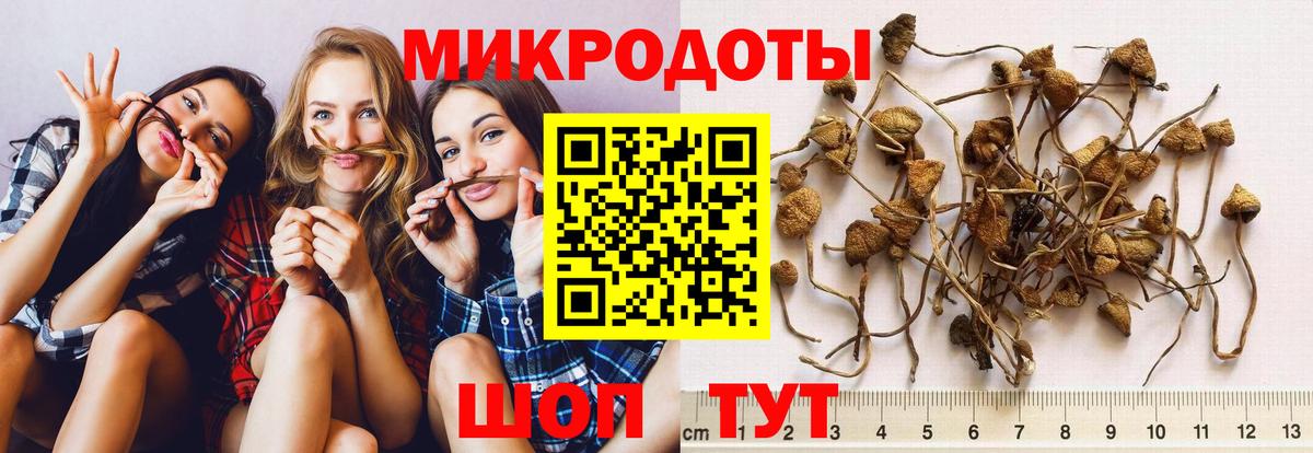 Солнечногорск  где найти   Вход с VPN  Галлюциногенные грибы мицелий  Псилоцибиновые грибы мицелий 