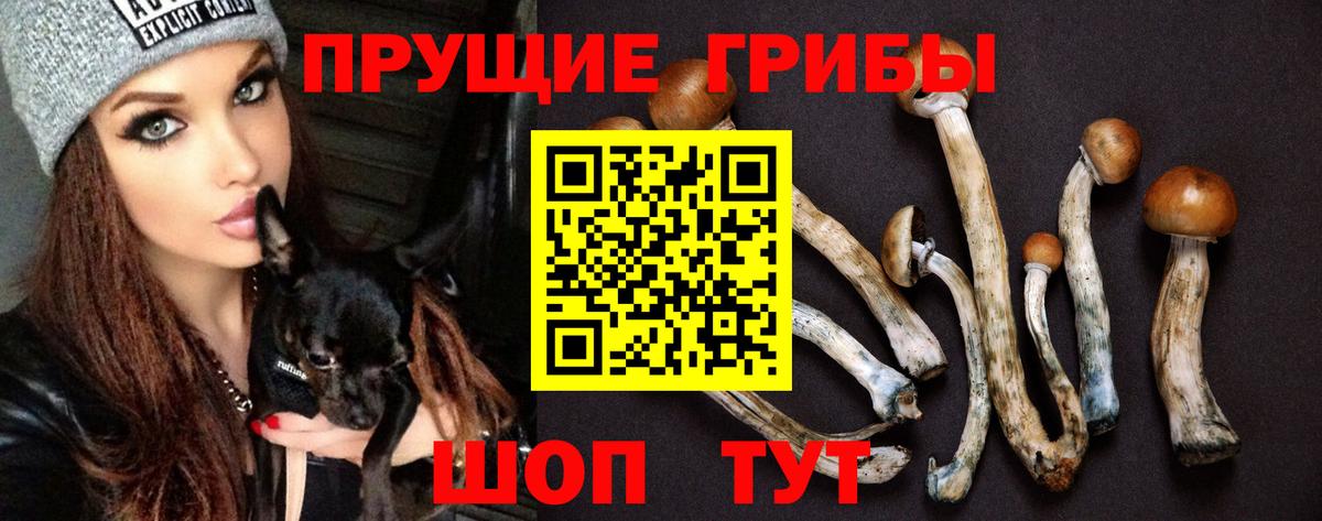 Псилоцибиновые грибы GOLDEN TEACHER Солнечногорск